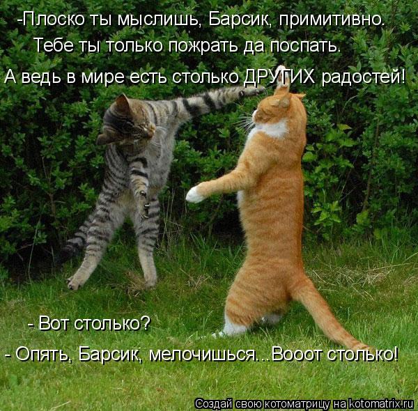 -Плоско ты мыслишь, Барсик, примитивно. А ведь в мире есть столько ДРУГИХ радостей! Тебе ты только ... Котоматрица: -Плоско ты мыслишь, Барсик, примитивно. А ведь в мире есть столько ДРУГИХ радостей! Тебе ты только пожрать да поспать. - Вот столько? - Опять,