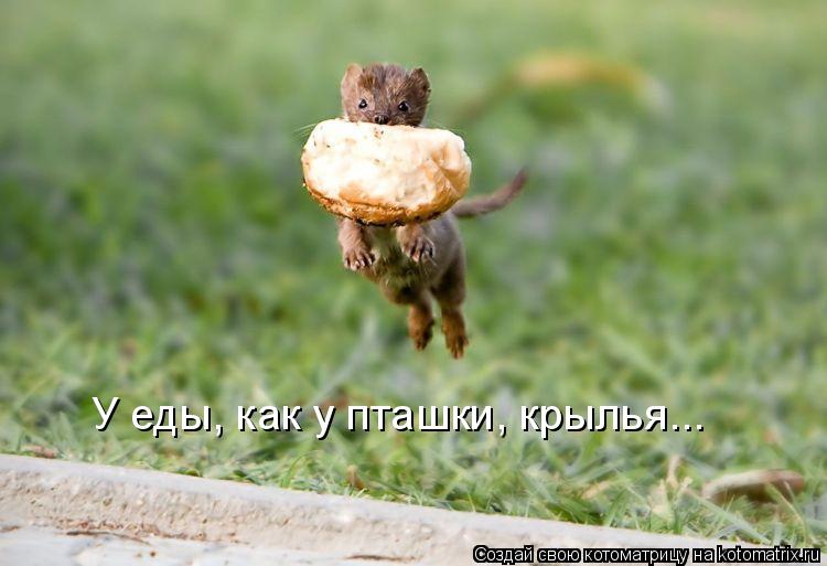 У еды, как у пташки, крылья...... Котоматрица: У еды, как у пташки, крылья...