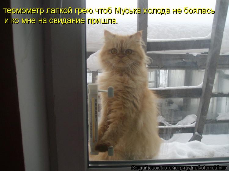 Котоматрица: термометр лапкой грею,чтоб Муська холода не боялась и ко мне на свидание пришла.