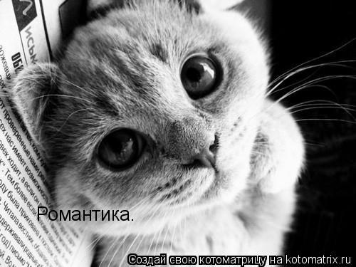 Котоматрица: Романтика.