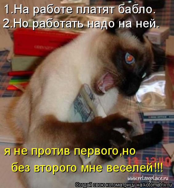 Котоматрица: я не против первого,но без второго мне веселей!!! 1.На работе платят бабло. 2.Но работать надо на ней.