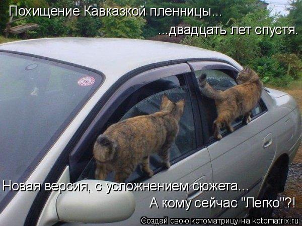 Котоматрица: Похищение Кавказкой пленницы... ...двадцать лет спустя. Новая версия, с усложнением сюжета... А кому сейчас "Легко"?!