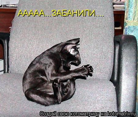 Котоматрица: ААААА...ЗАБАНИЛИ....