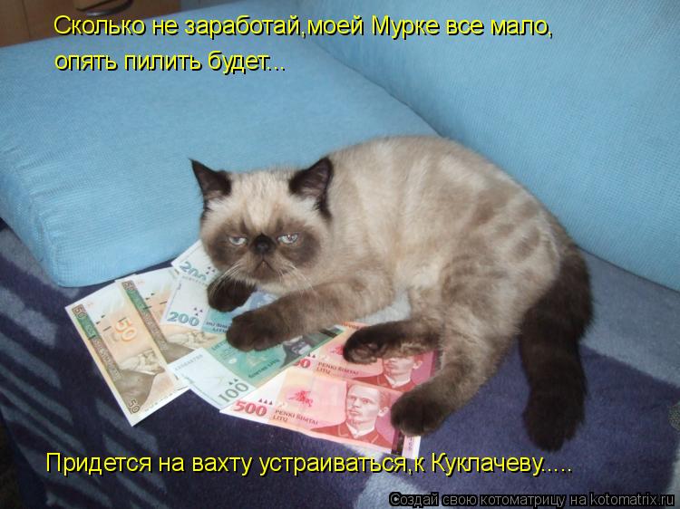 Котоматрица: Сколько не заработай,моей Мурке все мало, опять пилить будет... Придется на вахту устраиваться,к Куклачеву.....