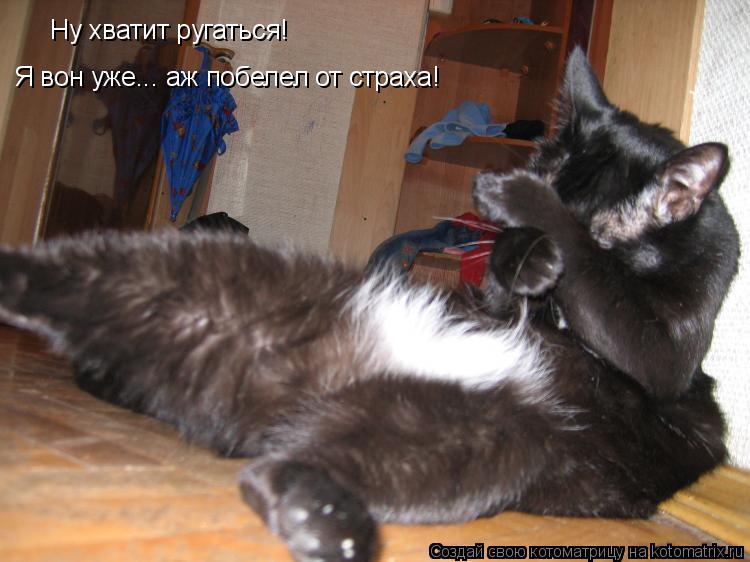Ну хватит ругаться! Я вон уже... аж побелел от страха!... Котоматрица: Ну хватит ругаться! Я вон уже... аж побелел от страха!