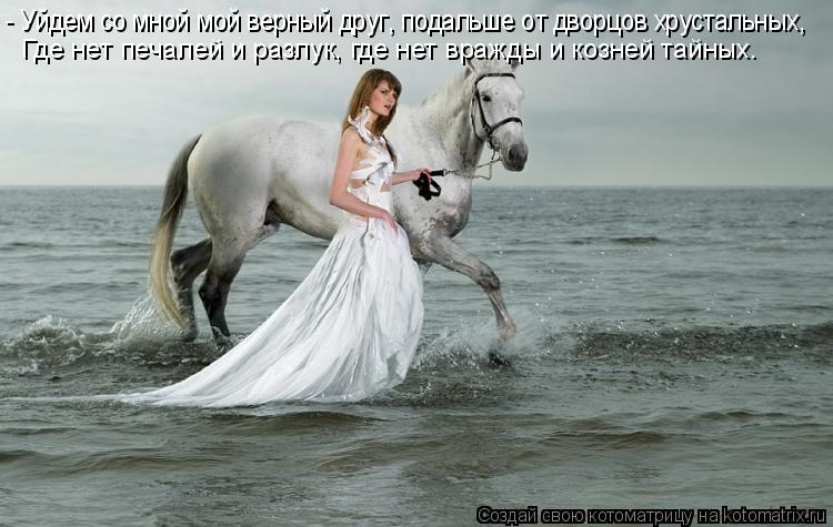 Котоматрица: - Уйдем со мной мой верный друг, подальше от дворцов хрустальных, Где нет печалей и разлук, где нет вражды и козней тайных.
