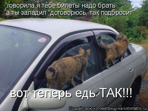 говорила я тебе билеты надо брать а ты заладил "договорюсь, так подбросит" вот теперь едь ТАК!!!... Котоматрица: говорила я тебе билеты надо брать а ты заладил "договорюсь, так подбросит" вот теперь едь ТАК!!!