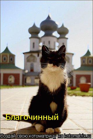 Благочинный... Котоматрица: Благочинный