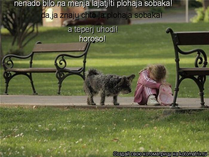 Котоматрица: nenado bilo na menja lajatj!ti plohaja sobaka! da,ja znaju chto ja plohaja sobaka! a teperj uhodi! horoso!
