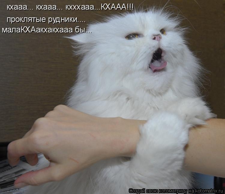 Котоматрица: кхааа... кхааа... кхххааа...КХААА!!! проклятые рудники.... малаКХАакхакхааа бы...