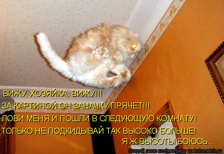 Котоматрица: ВИЖУ, ХОЗЯЙКА, ВИЖУ!!! ЗА КАРТИНОЙ ОН ЗАНАЧКУ ПРЯЧЕТ!!! ЛОВИ МЕНЯ И ПОШЛИ В СЛЕДУЮЩУЮ КОМНАТУ! ТОЛЬКО НЕ ПОДКИДЫВАЙ ТАК ВЫСОКО БОЛЬШЕ! Я Ж ВЫСОТ