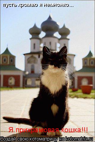 Котоматрица: пусть хромаю я немножко... Я прихрамовая кошка!!!