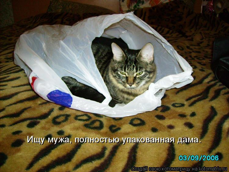 Котоматрица: Ищу мужа, полностью упакованная дама.