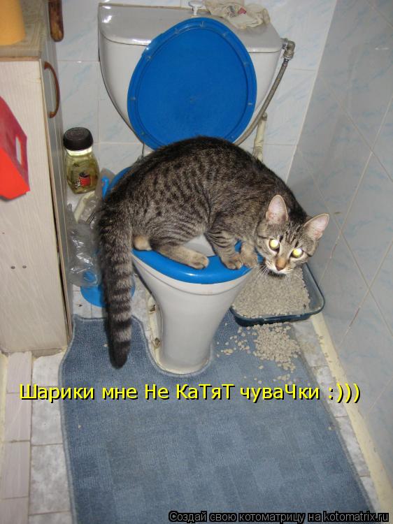 Котоматрица: Шарики мне Не КаТяТ чуваЧки :)))