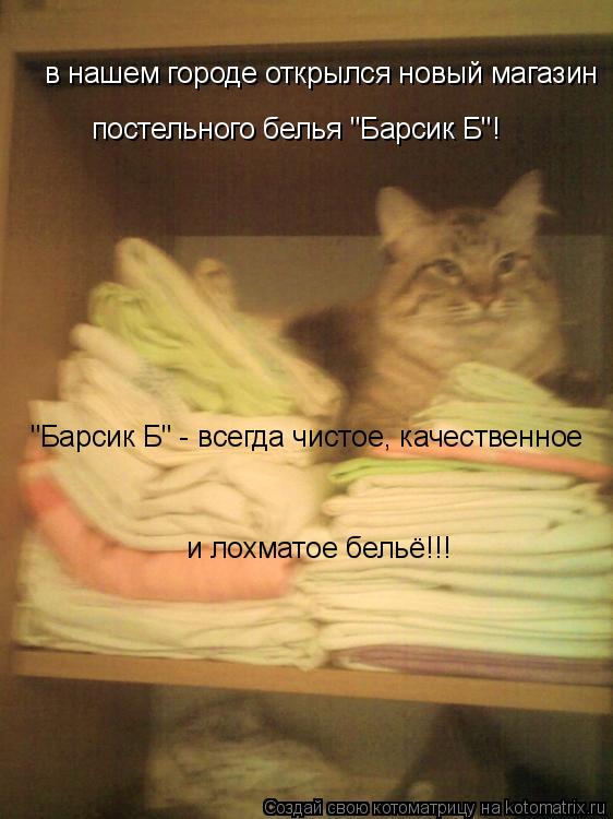 Котоматрица: в нашем городе открылся новый магазин  постельного белья "Барсик Б"! "Барсик Б" - всегда чистое, качественное и лохматое бельё!!!