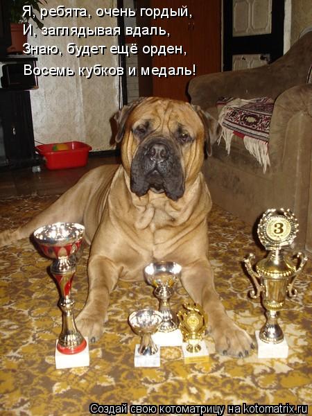 Котоматрица: Я, ребята, очень гордый, И, заглядывая вдаль, Знаю, будет ещё орден, Восемь кубков и медаль!
