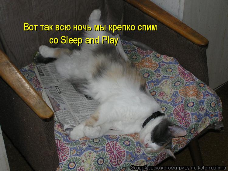 Котоматрица: Вот так всю ночь мы крепко спим  со Sleep and Play