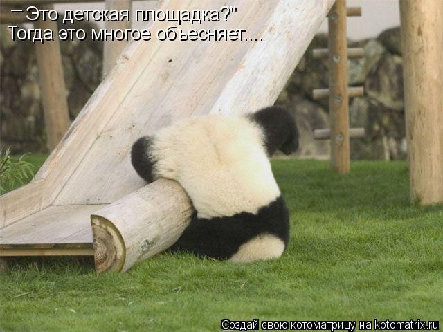 Котоматрица: Тогда это многое объесняет.... Это детская площадка?' _