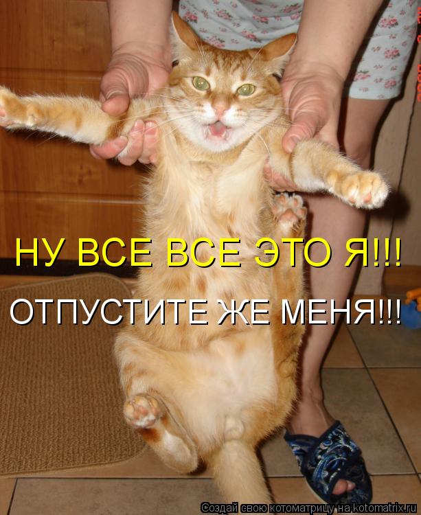 Котоматрица: НУ ВСЕ ВСЕ ЭТО Я!!! ОТПУСТИТЕ ЖЕ МЕНЯ!!!