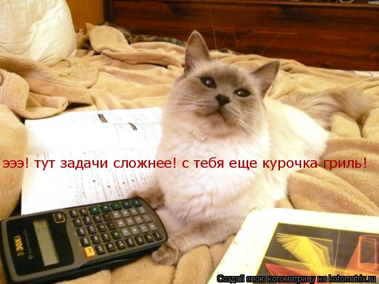 Котоматрица: эээ! тут задачи сложнее! с тебя еще курочка гриль!
