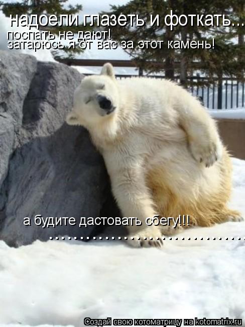 Котоматрица: надоели глазеть и фоткать... запрячусь я от вас! поспать не дают! затарюсь я от вас за этот камень!  а будите дастовать сбегу!!! .....................