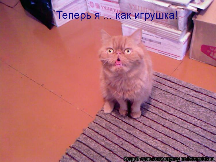 Теперь я ... как игрушка!... Котоматрица: Теперь я ... как игрушка!