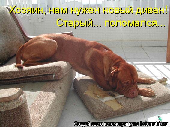 http://kotomatrix.ru/images/lolz/2009/07/29/330683.jpg