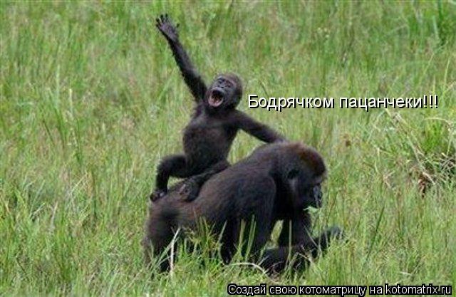Котоматрица: Бодрячком пацанчеки!!!