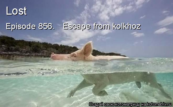 Котоматрица: Lost Episode 856. Escape from kolkhoz