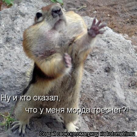 Котоматрица: Ну и кто сказал,  что у меня морда треснет?!