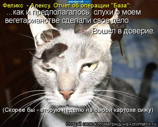 вегетарианстве сделали свое дело. Вошел в доверие. Феликс - Алексу. Отчет об операщии "База": ...ка... Котоматрица: вегетарианстве сделали свое дело. Вошел в доверие. Феликс - Алексу. Отчет об операщии "База": ...как и предполагалось, слухи о моем (Скорее бы
