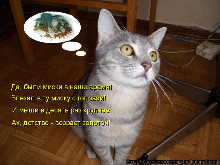 Влезал в ту миску с головой! И мыши в десять раз крупнее.. Ах, детство - возраст золотой! Да, были ми... Котоматрица: Влезал в ту миску с головой! И мыши в десять раз крупнее.. Ах, детство - возраст золотой! Да, были миски в наше время!