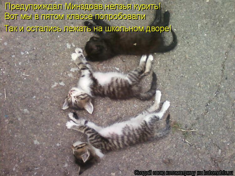 Котоматрица: Предуприждал Минздрав,нелзья курить! Вот мы в пятом классе попробовали Так и остались лежать на школьном дворе!
