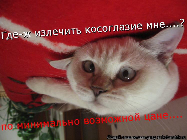 Котоматрица: Где-ж излечить косоглазие мне....? по минимально возможной цане....