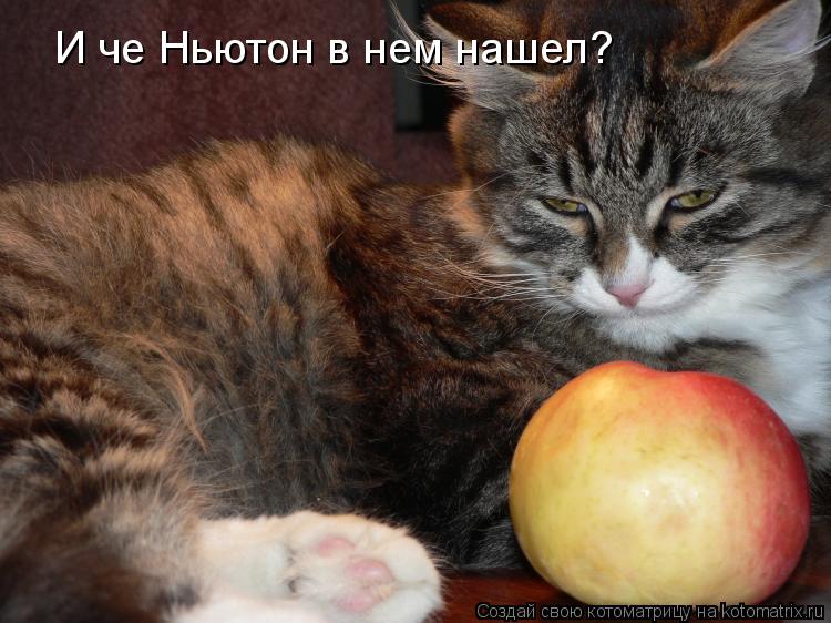 И че Ньютон в нем нашел?... Котоматрица: И че Ньютон в нем нашел?