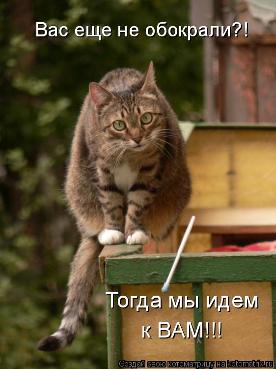 Вас еще не обокрали?! Вас еще не обокрали?! Тогда мы идем к ВАМ!!!... Котоматрица: Вас еще не обокрали?! Вас еще не обокрали?! Тогда мы идем к ВАМ!!!