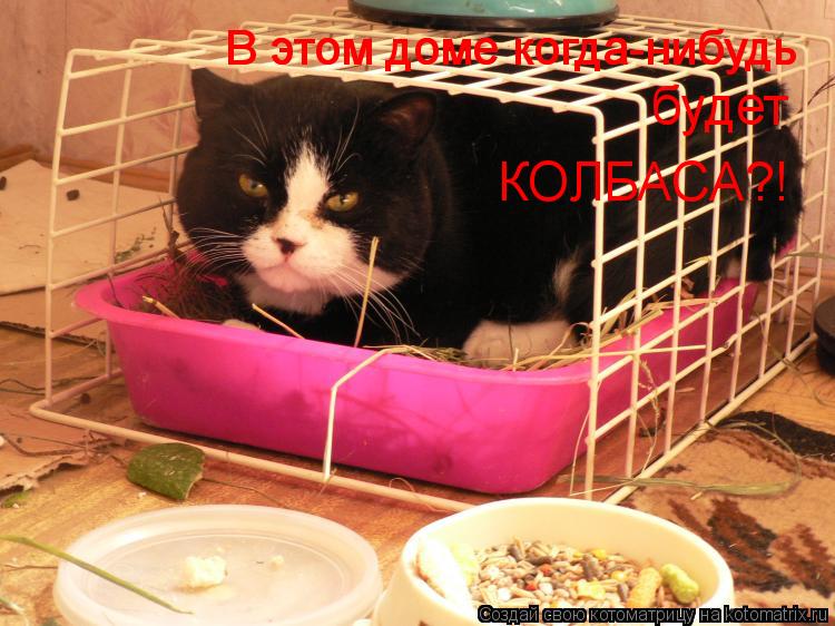 В этом доме когда-нибудь В этом доме когда-нибудь будет КОЛБАСА?!... Котоматрица: В этом доме когда-нибудь В этом доме когда-нибудь будет КОЛБАСА?!