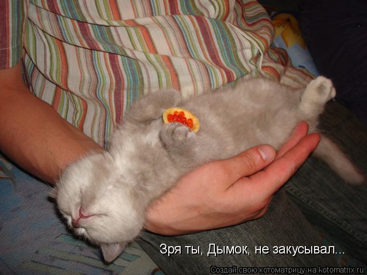 Зря ты, Дымок, не закусывал...... Котоматрица: Зря ты, Дымок, не закусывал...