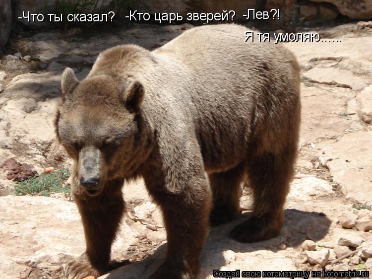 -Что ты сказал? -Кто царь зверей? -Лев?! Я тя умоляю......... Котоматрица: -Что ты сказал? -Кто царь зверей? -Лев?! Я тя умоляю......