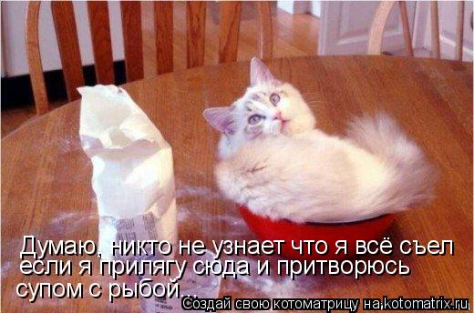 Думаю, никто не узнает что я всё съел если я прилягу сюда и притворюсь супом с рыбой...... Котоматрица: Думаю, никто не узнает что я всё съел если я прилягу сюда и притворюсь супом с рыбой...