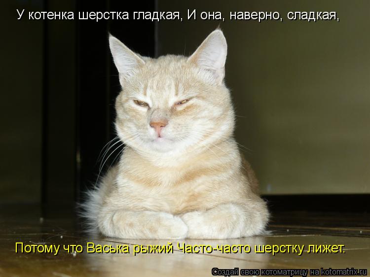 Котоматрица: У котенка шерстка гладкая, И она, наверно, сладкая,  Потому что Васька рыжий Часто-часто шерстку лижет.