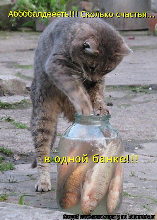 Аббббалдеееть!!!! Сколько счастья в одной банке!!! Аббббалдеееть!!! Сколько счастья... в одной банке... Котоматрица: Аббббалдеееть!!!! Сколько счастья в одной банке!!! Аббббалдеееть!!! Сколько счастья... в одной банке!!!