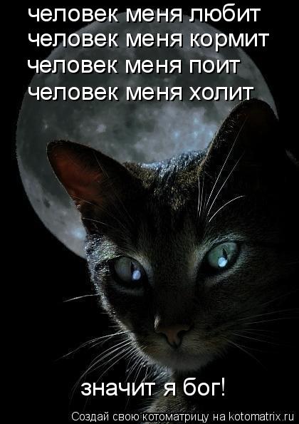 человек меня любит человек меня кормит человек меня поит человек меня холит значит я бог!... Котоматрица: человек меня любит человек меня кормит человек меня поит человек меня холит значит я бог!