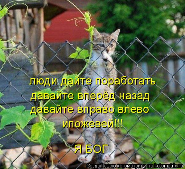 Котоматрица: люди дайте поработать давайте вперёд назад давайте вправо влево ипожевей!!! Я БОГ