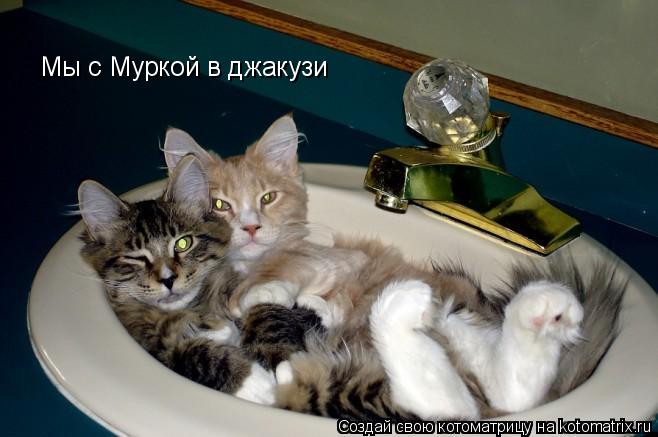 Котоматрица: Мы с Муркой в джакузи