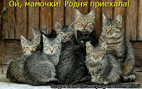 Котоматрица: Ой, мамочки! Родня приехала!