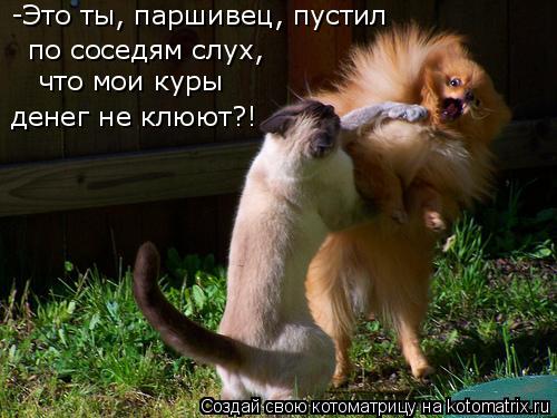 -Это ты, паршивец, пустил по соседям слух, денег не клюют?! что мои куры... Котоматрица: -Это ты, паршивец, пустил по соседям слух, денег не клюют?! что мои куры
