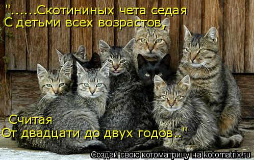 "......Скотининых чета седая С детьми всех возрастов, Считая От двадцати до двух годов.."... Котоматрица: "......Скотининых чета седая С детьми всех возрастов, Считая От двадцати до двух годов.."