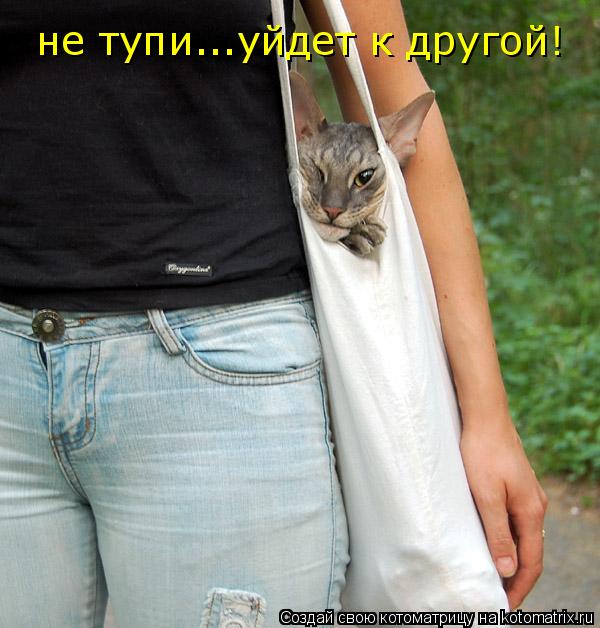не тупи...уйдет к другой!... Котоматрица: не тупи...уйдет к другой!