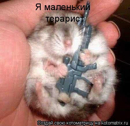 Я маленький терарист... Котоматрица: Я маленький терарист